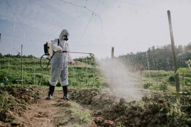 Best Pest Removal Services  in Barnesville, OH