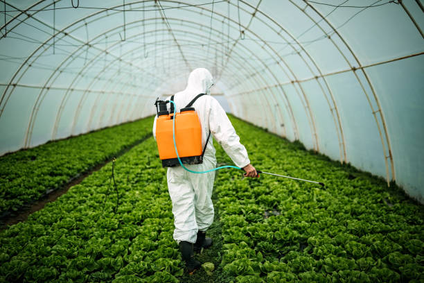 Best Pest Control for Homes  in Barnesville, OH