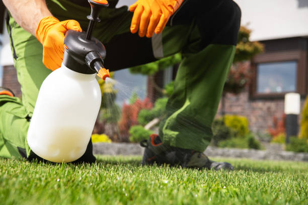 Best Affordable Pest Control Services  in Barnesville, OH