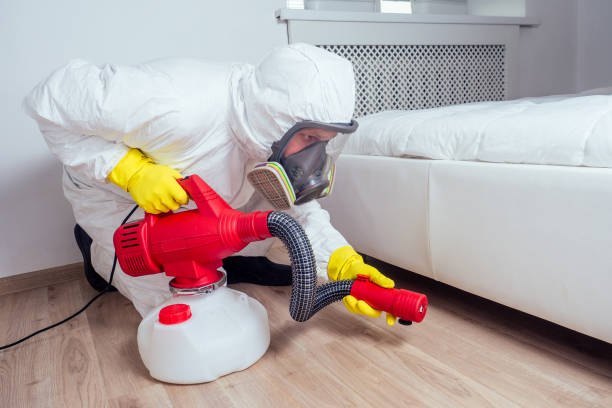 Best Flea Control Services  in Barnesville, OH
