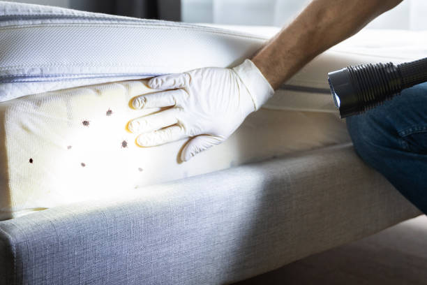 Best Bed Bug Extermination  in Barnesville, OH