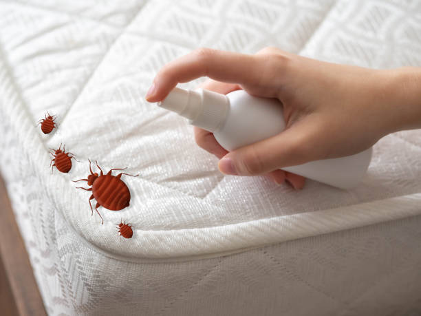 Best Commercial Pest Control Services  in Barnesville, OH