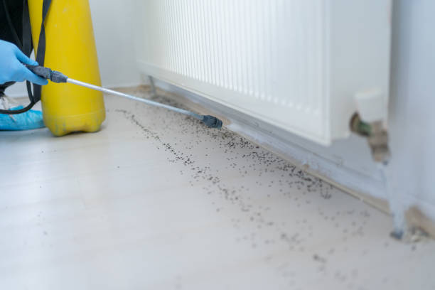Best Termite Control Services  in Barnesville, OH