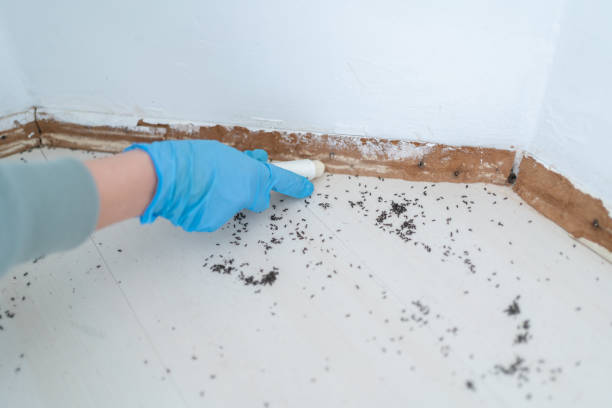Pest Control Cost in Barnesville, OH