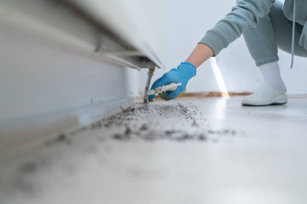 Barnesville, OH Pest Control Pros