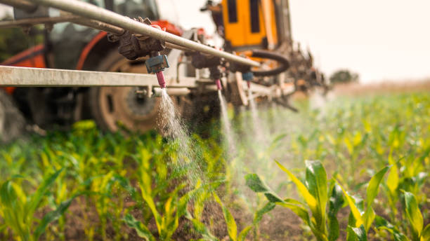 Best Pest Control Cost  in Barnesville, OH